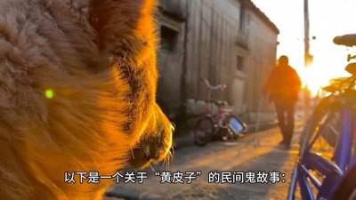 ​民间鬼故事：黄皮子