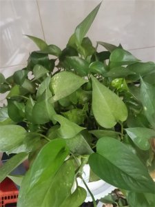 ​标点符号之七：破折号