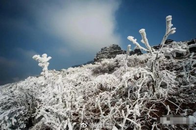 ​冬天赏雾凇的绝佳圣地--梵净山，坐山看雪，临树赏淞