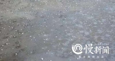 ​重庆应该有的冰雹（重庆下冰雹不这叫）
