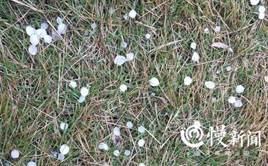 重庆应该有的冰雹（重庆下冰雹不这叫）(2)