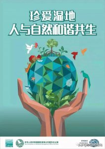 ​世界湿地日 - 珍爱湿地 人与自然和谐共生