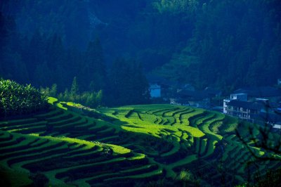 ​福建是什么气候类型(福建气候特点)