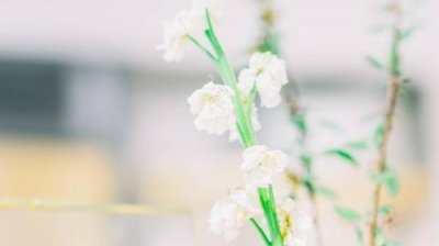 ​励志语录：不负此生太难,还愿不要太遗憾