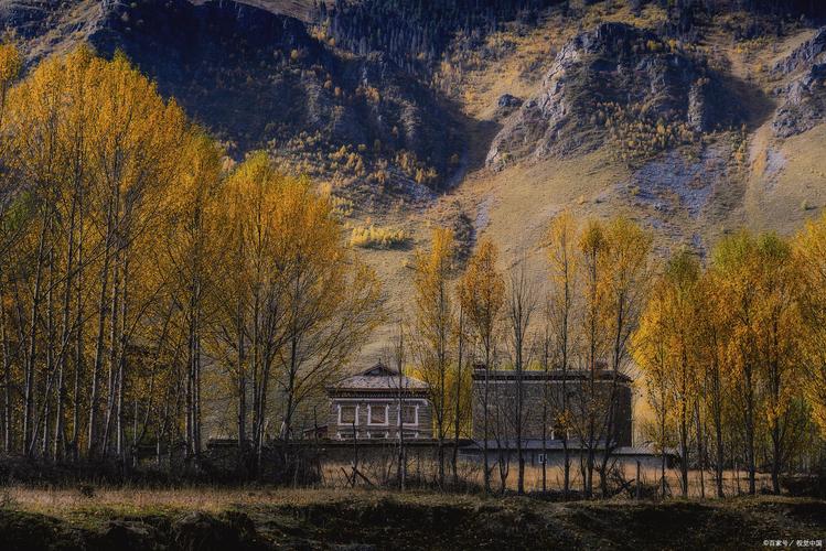 第四天:新都桥—理塘→甲居藏寨;