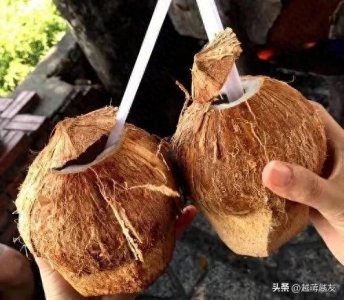 ​越南的那些美味水果之——椰子碗里的诱惑！