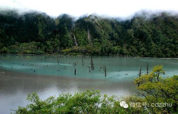 4、石棉石漠化地区
