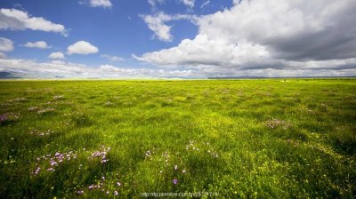 ​成都周边野外露营地
