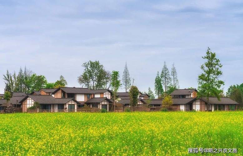 2、川西林盘地区