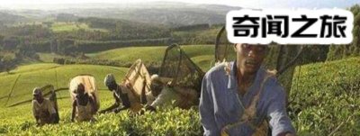 ​放屁犯法的国家（哪个国家不能在公共场合放屁）