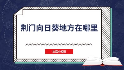 ​荆门向日葵地方在哪里