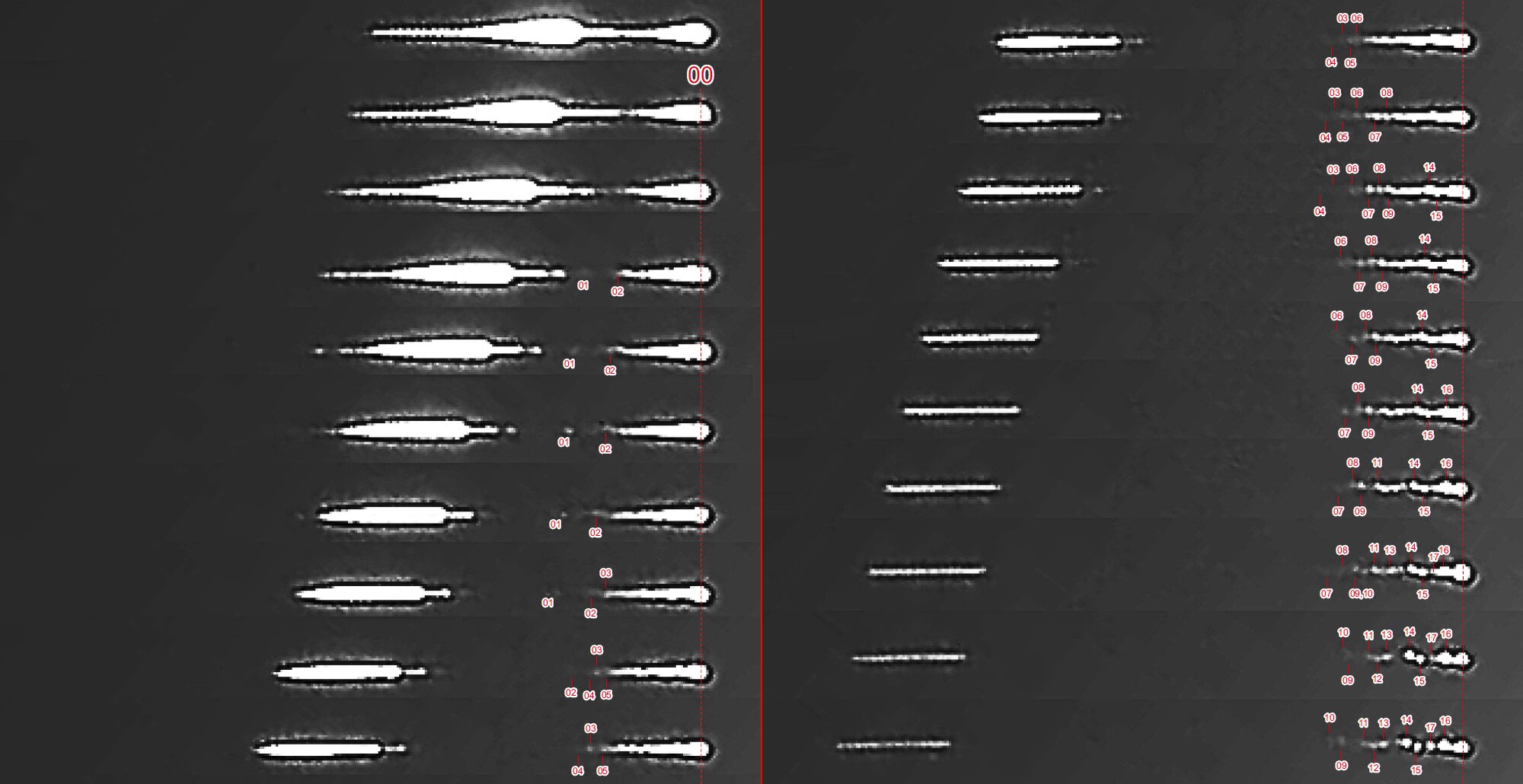 研究人员利用行车记录仪寻找斯洛文尼亚火球的来源 进入地球大气层之前重达四吨