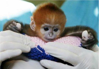 ​承德周边适合户外烧烤