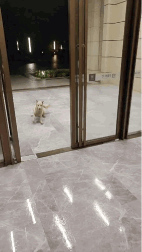 电脑系统优化哪个软件最好（5款系统优化工具分享）(3)