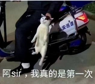 电脑系统优化哪个软件最好（5款系统优化工具分享）(30)