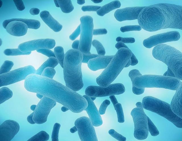 每到换季手脱皮是什么原因（一到换季手就脱皮）(3)