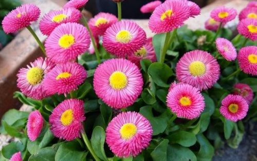 感人的qq签名(非常非常感人的签名)-第1张图片-