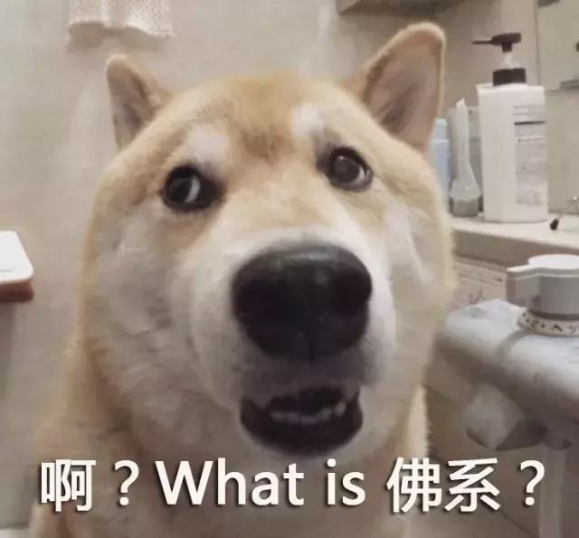 朋友圈被“佛系”刷屏了,“佛系”英语怎么说?