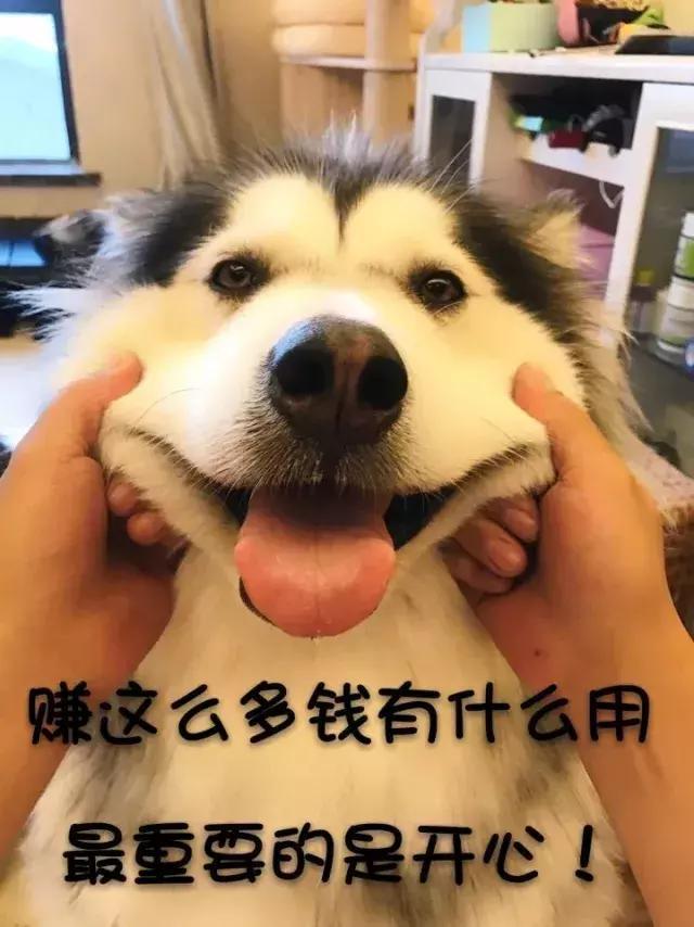 朋友圈被“佛系”刷屏了,“佛系”英语怎么说?