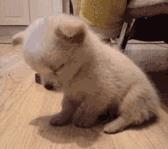 朋友圈被“佛系”刷屏了,“佛系”英语怎么说?