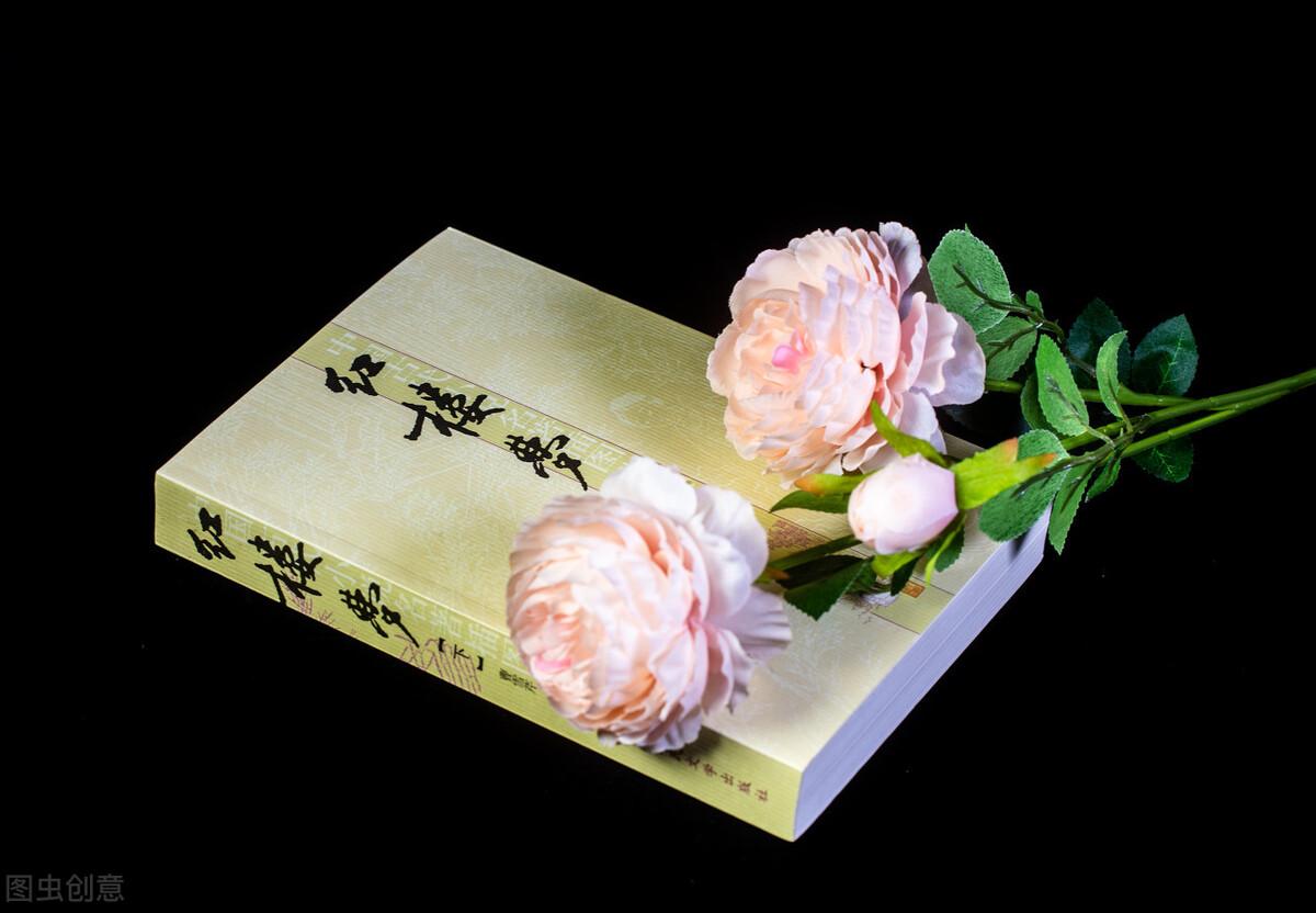 黛玉葬花的寓意(黛玉葬花的人生哲理)