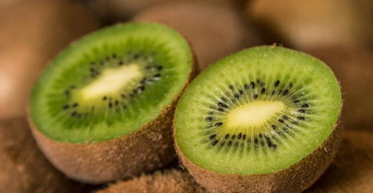 桃子是凉性水果还是热性水果?