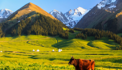 ​那拉提是什么意思,那拉提汉语是什么意思?