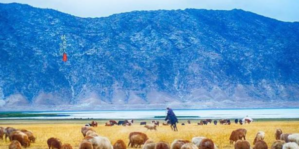 那拉提是什么意思,那拉提汉语是什么意思?图2