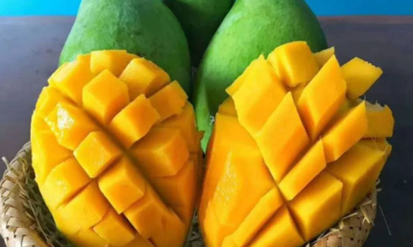 苹果芒和贵妃芒哪个好吃,芒果的种类有多少种图4