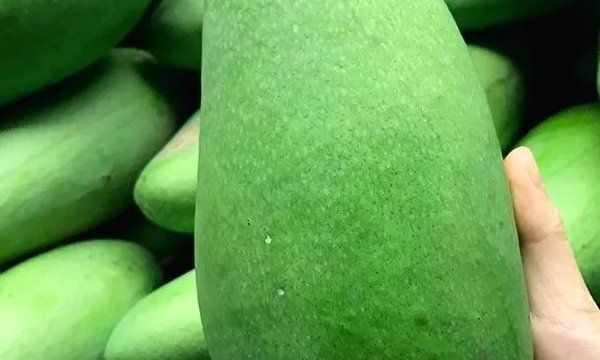 苹果芒和贵妃芒哪个好吃,芒果的种类有多少种图5