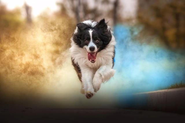 盘点那些精美的壁纸（精选全都是绝美壁纸）(27)