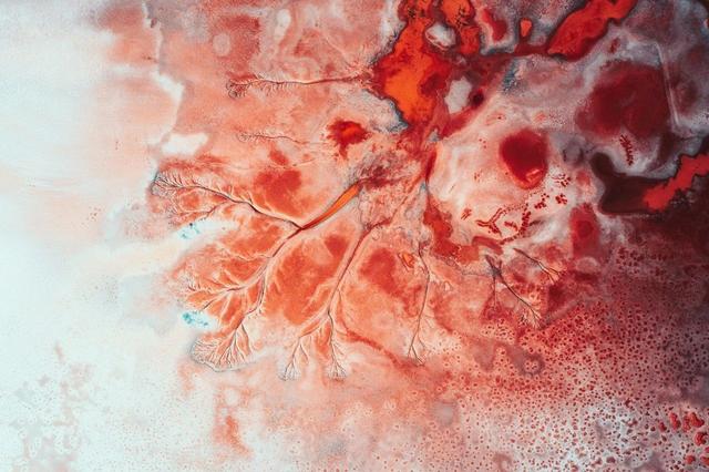 盘点那些精美的壁纸（精选全都是绝美壁纸）(3)