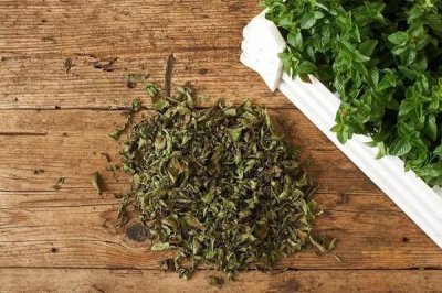 ​莫吉托用什么薄荷叶(莫吉托用的什么薄荷)