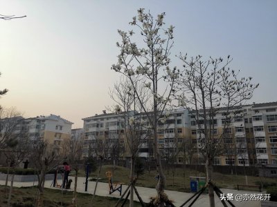 ​对牛弹琴告诉我们什么道理（对牛弹琴故事给我们的启示）