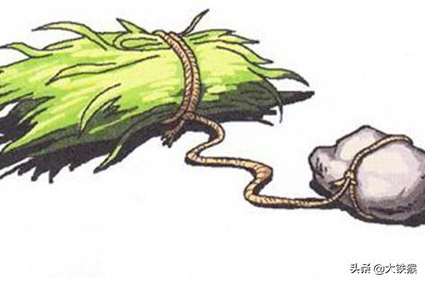 钓草鱼的方法和技巧(钓草鱼用什么饵最好)