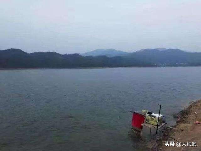 钓草鱼的方法和技巧(钓草鱼用什么饵最好)