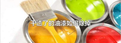 ​干透了的油漆如何除掉,衣服上干透了的油漆如何除掉