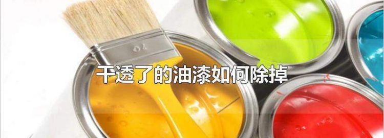衣服上干透了的油漆如何除掉