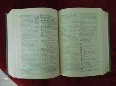 ​第一部字典是哪一本书(第一部字典的名字叫什么)