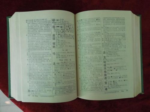 第一部字典是哪一本书(第一部字典的名字叫什么)-第1张图片-