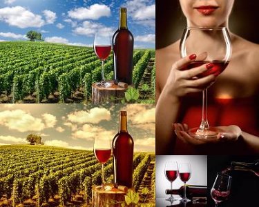 ​女生喝那种红酒(女人喝哪种红酒好)