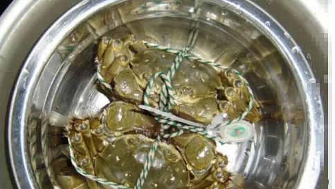 大闸蟹放冷冻24小时还能吃吗