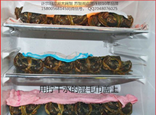 大闸蟹可以放急冻吗