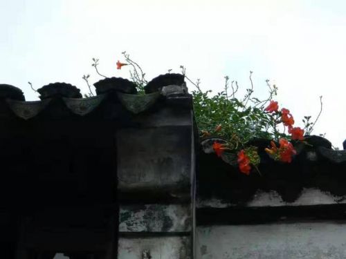 尼康l120值得买吗？尼康l120说明书-第1张图片-