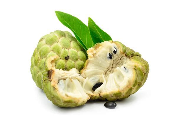 番荔枝是什么水果 番荔枝是热性还是凉性 番荔枝是什么水果 番荔枝是热性还是凉性