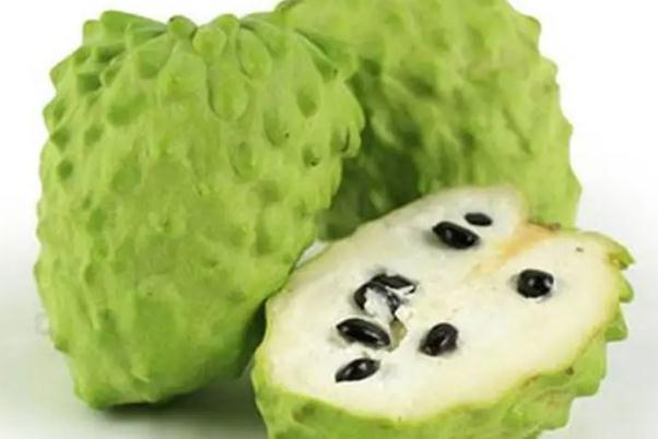 番荔枝是什么水果 番荔枝是热性还是凉性 番荔枝是什么水果 番荔枝是热性还是凉性