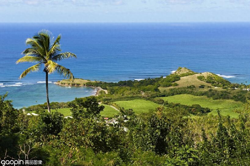 能让人长高的马提尼克岛，究竟是自然的奇迹，还是人类的骗局？