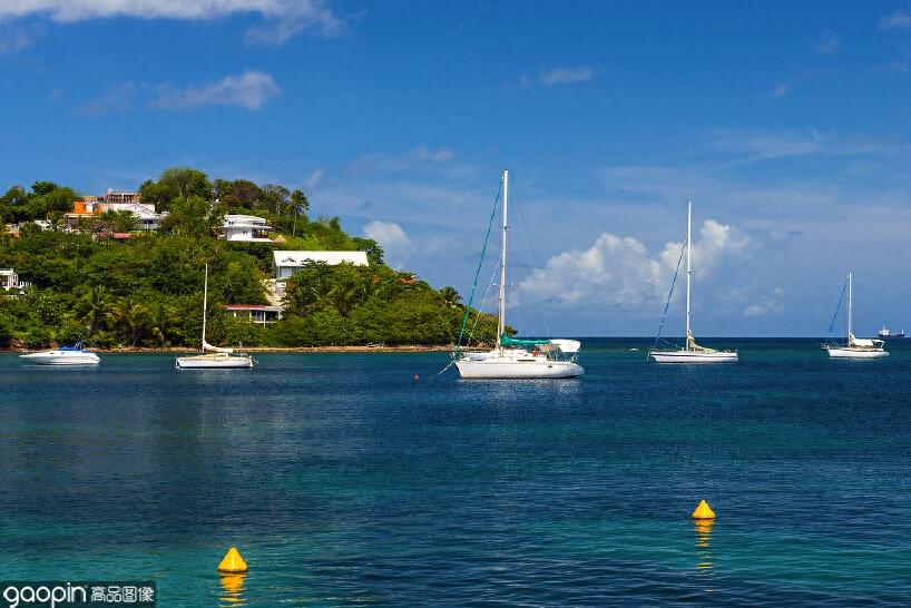 能让人长高的马提尼克岛，究竟是自然的奇迹，还是人类的骗局？