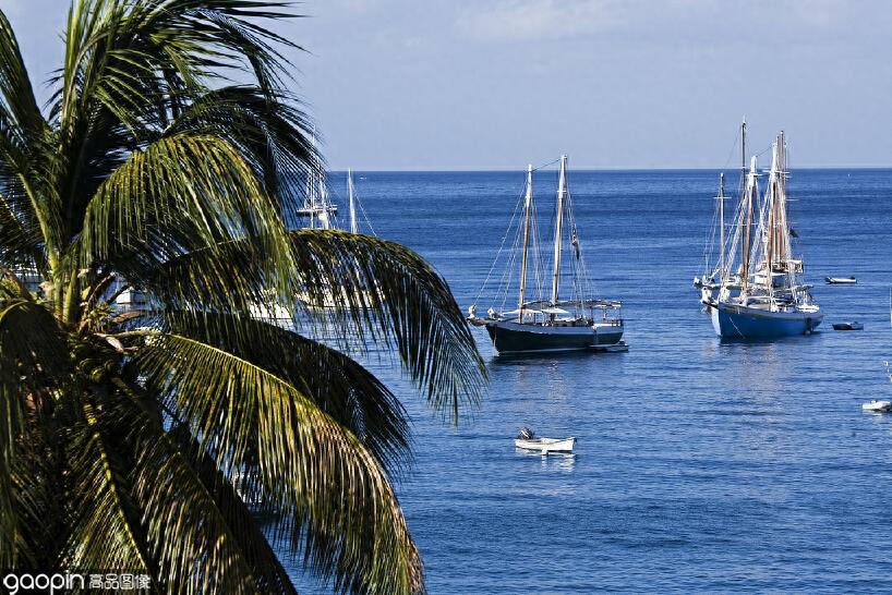 能让人长高的马提尼克岛，究竟是自然的奇迹，还是人类的骗局？