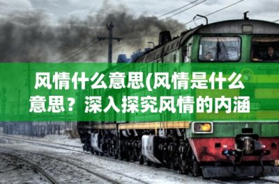 ​风情什么意思(风情是什么意思？深入探究风情的内涵和表现)